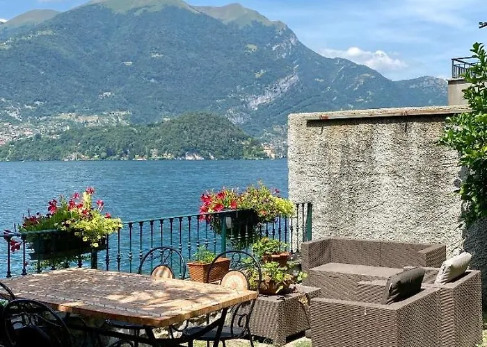 Nest On The Лезено